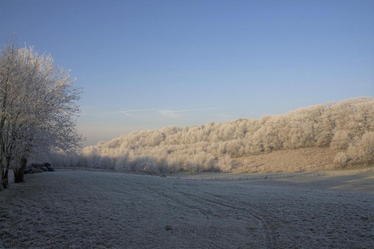 Stacaravan In De Natuur Bij Maastricht Villa Ulestraten Esterno foto